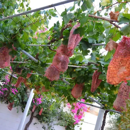 Tatil Evi Traditional Cycladic House Syros Liaropá