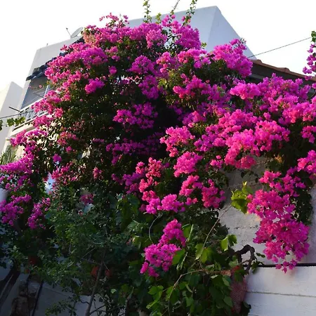 Traditional Cycladic House Syros